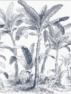 Papel Mural Paisaje Selva