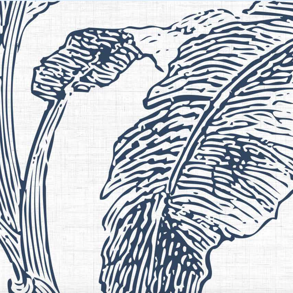 Papel Mural Paisaje Selva