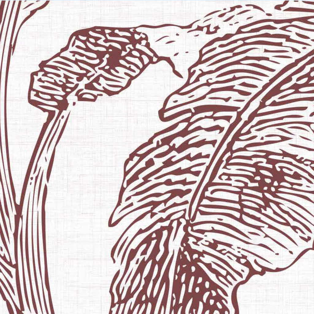 Papel Mural Paisaje Selva