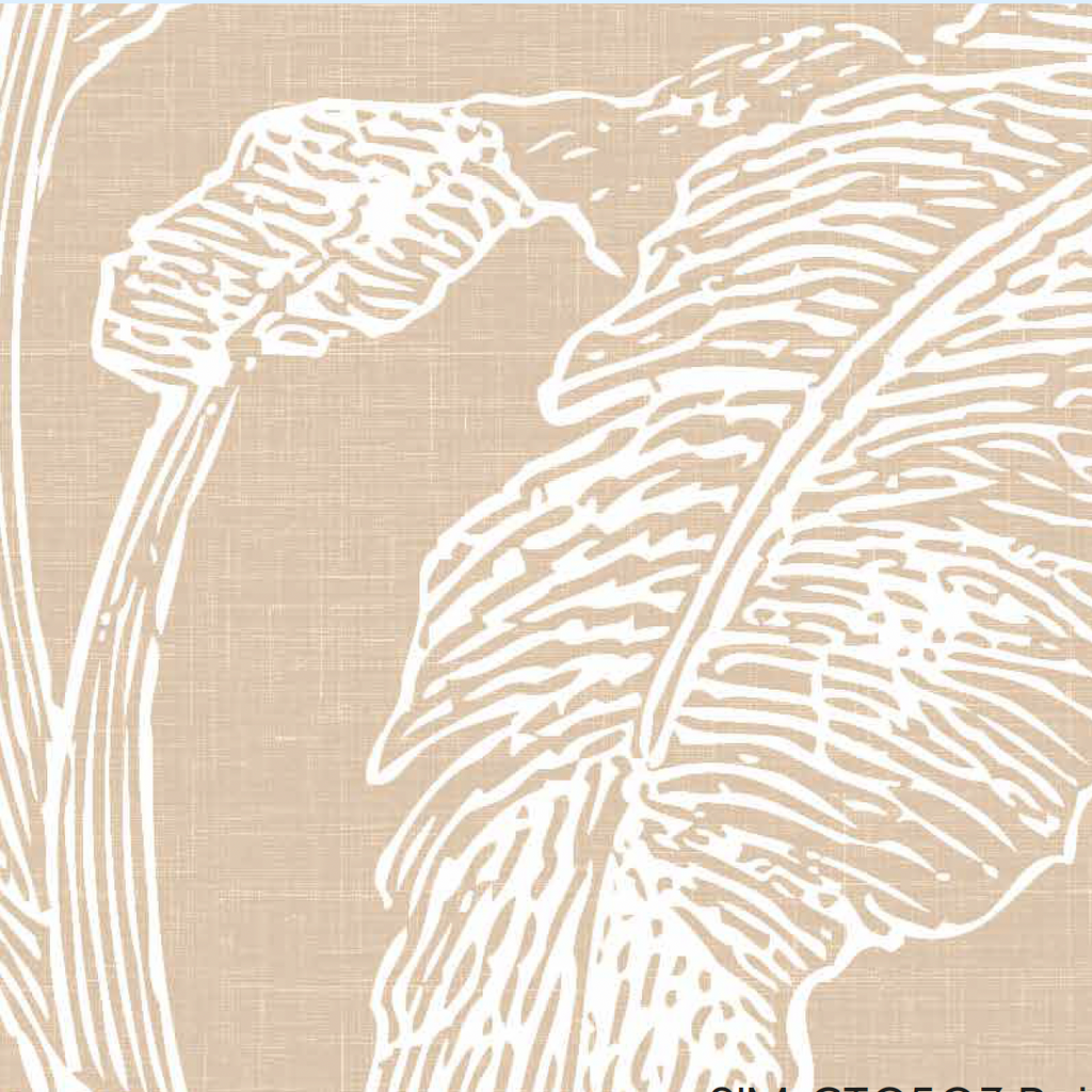 Papel Mural Paisaje Selva