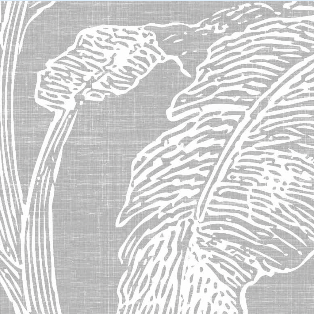 Papel Mural Paisaje Selva