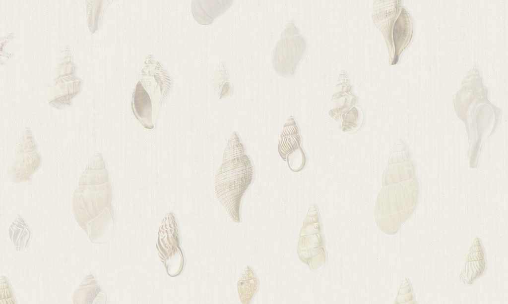 Papel Mural Conchas