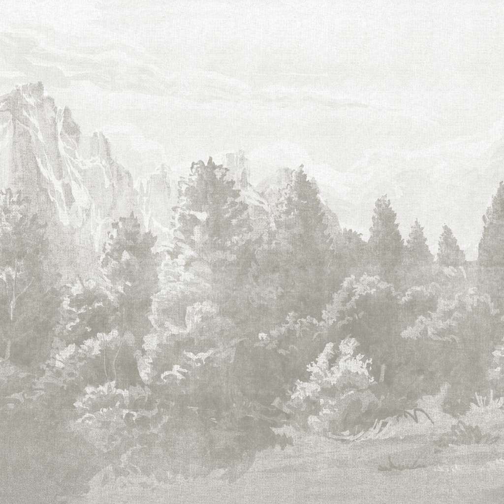 Entrega Inmediata Papel Mural Bosque