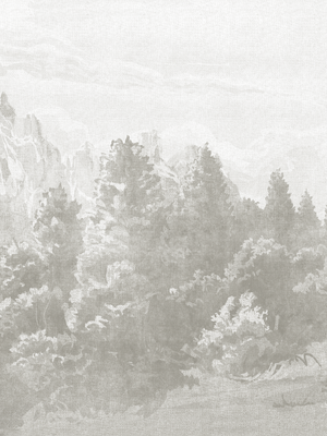 Entrega Inmediata Papel Mural Bosque