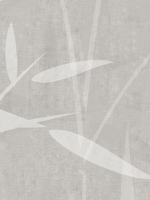 Papel Mural Bosque Bambu