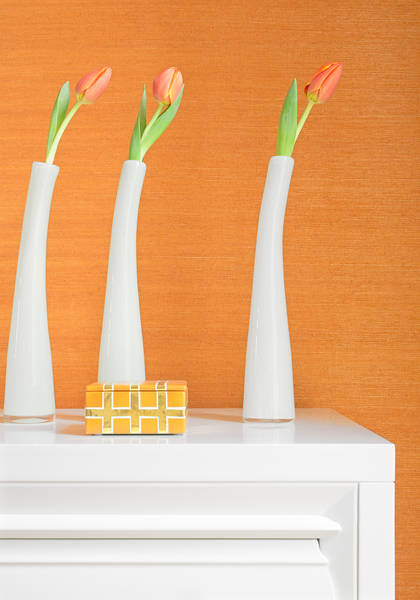 Papel Mural Shang Extra Fine Sisal