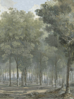 Papel Mural Hikers in a Park