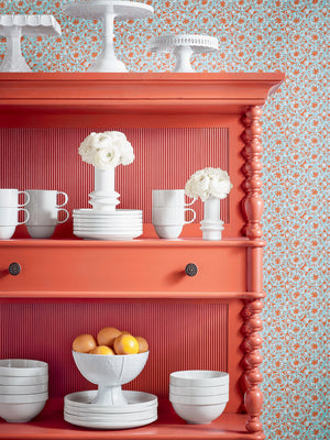 Papel Mural Sand Dollar