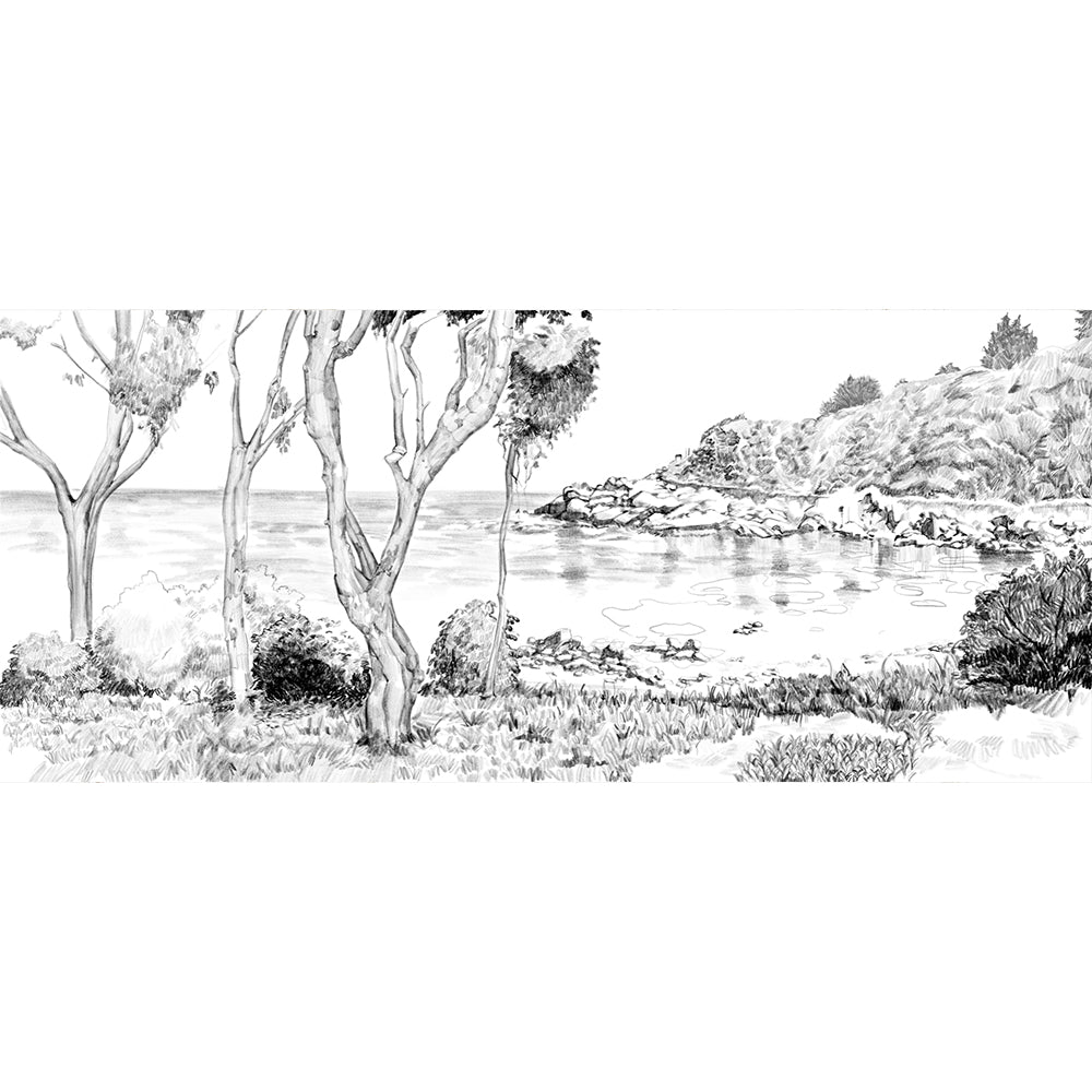 Papel Mural Las Cujas