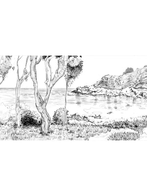 Papel Mural Las Cujas