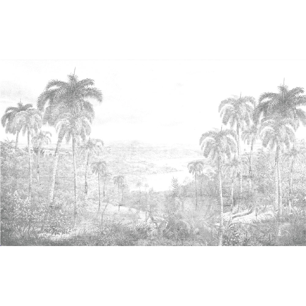 Papel Mural La Llegada