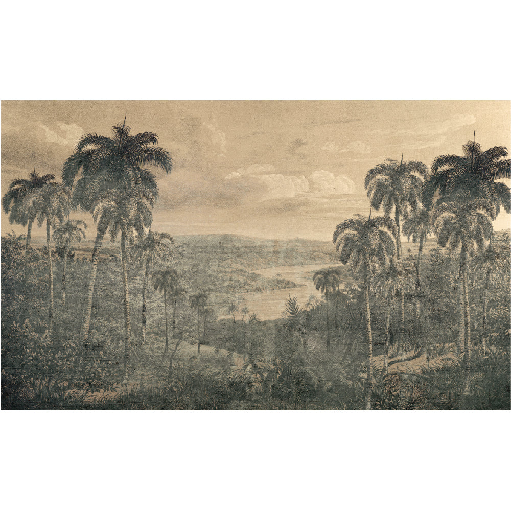 Papel Mural La Llegada