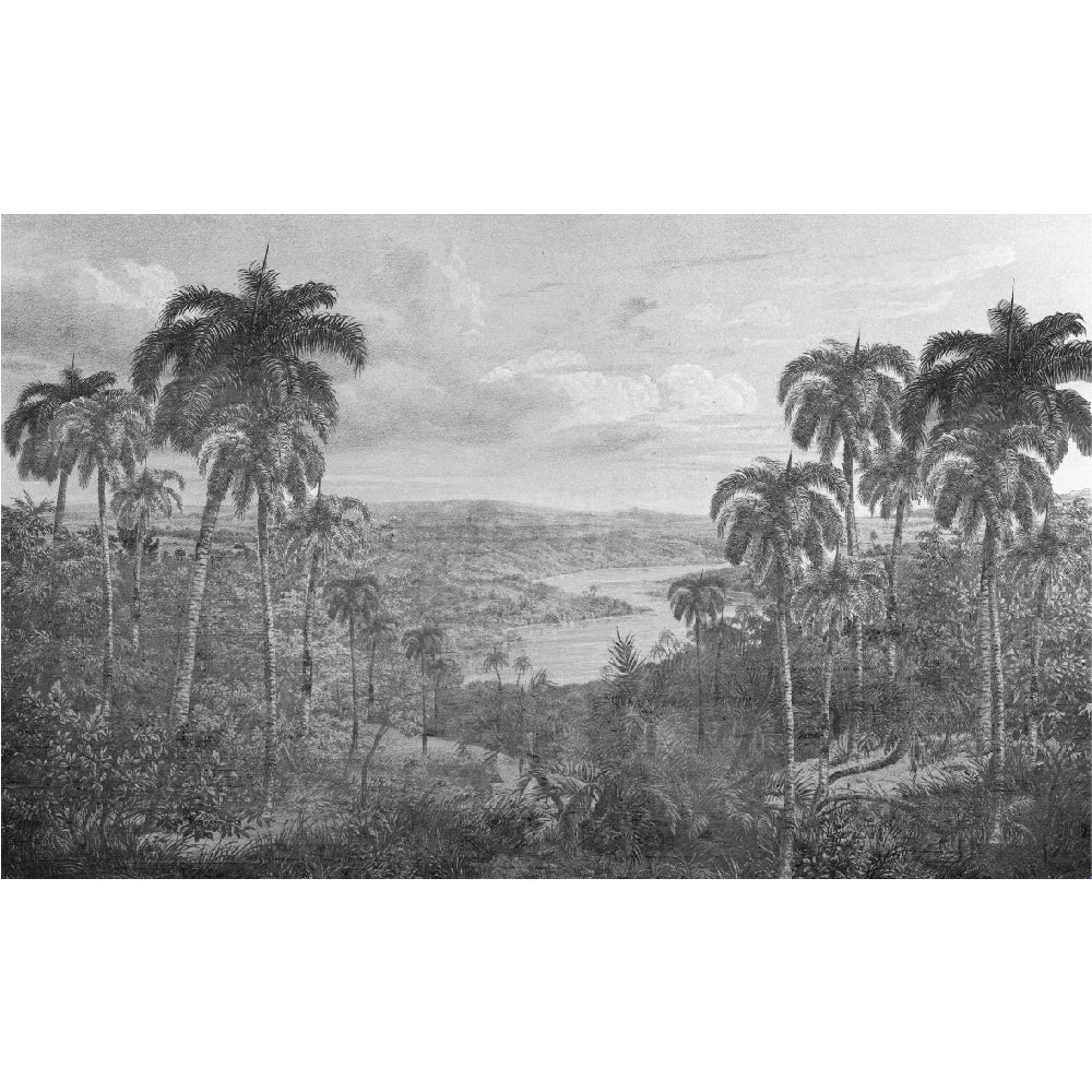 Papel Mural La Llegada