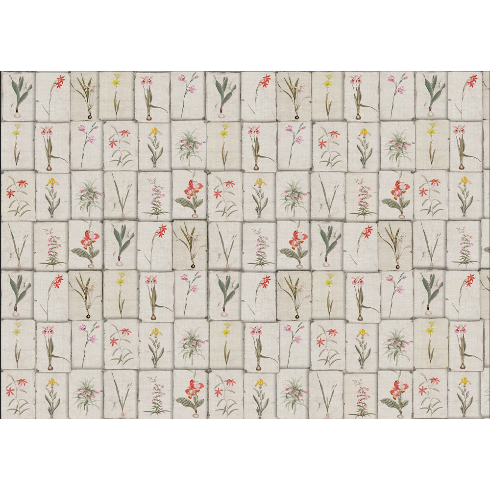 Papel Mural Tuberculos