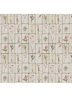 Papel Mural Tuberculos