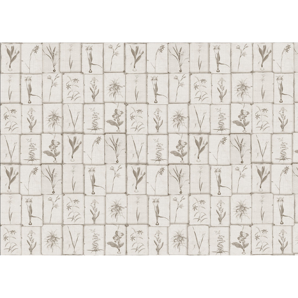 Papel Mural Tuberculos