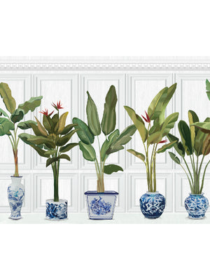 Papel Mural Maceteros