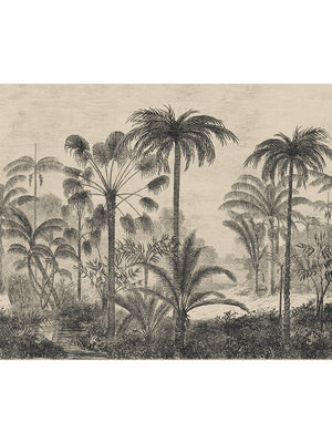 Papel Mural Araucaria