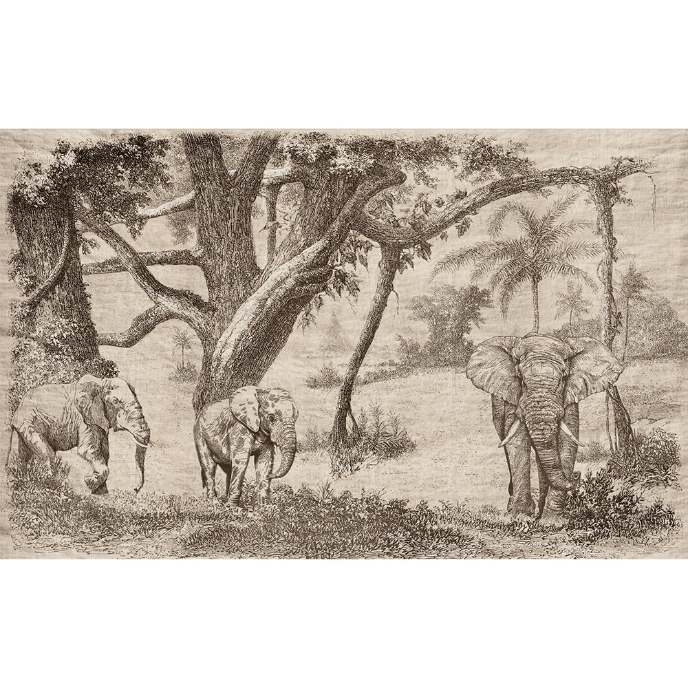 Papel Mural Elefante