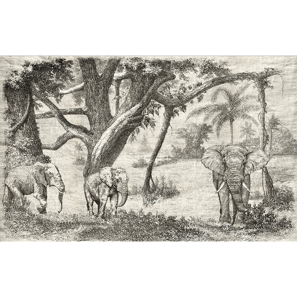 Papel Mural Elefante