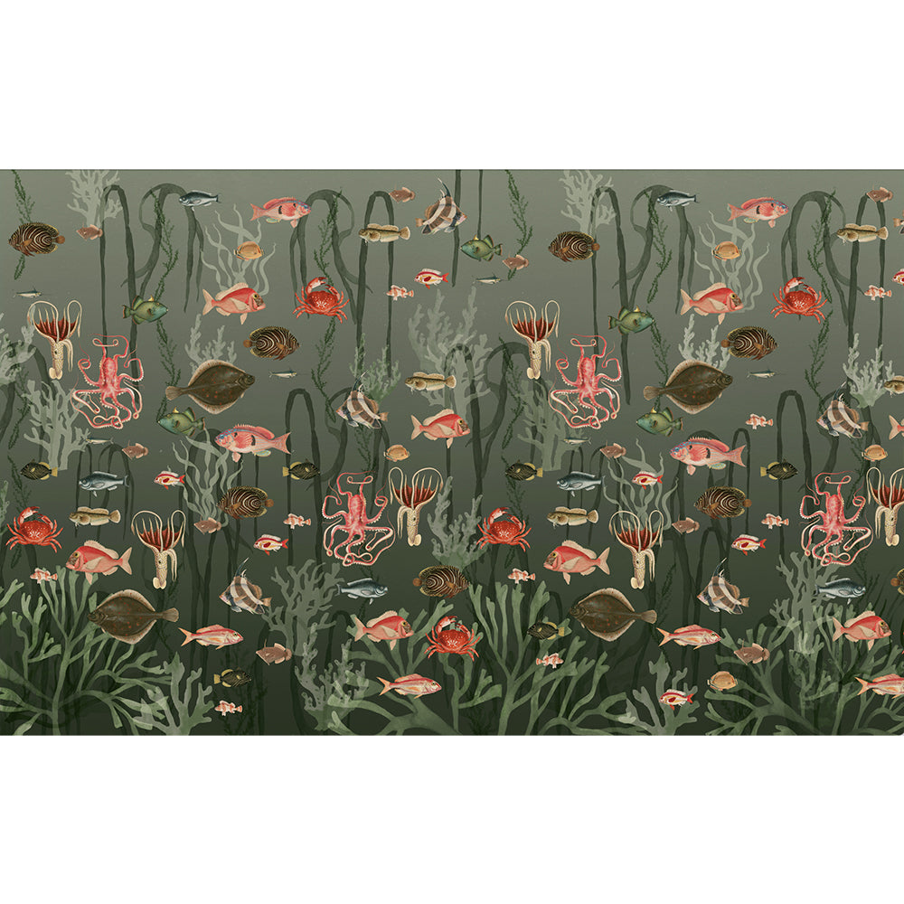 Papel Mural Pescados