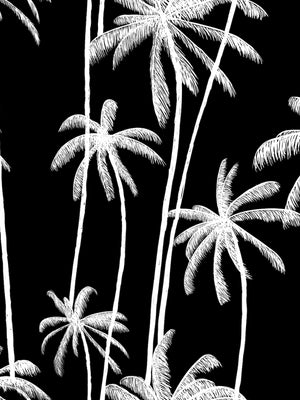 Papel Mural Palms Pattern Fondo