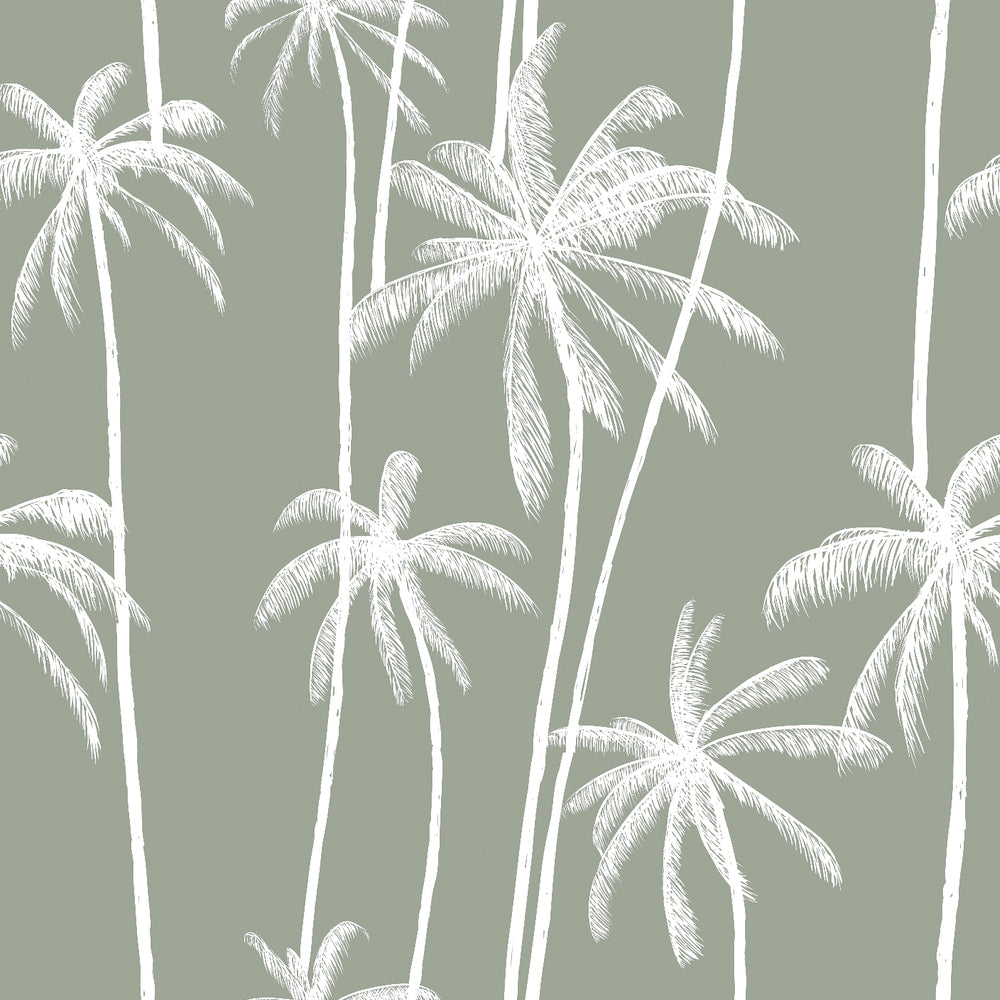 Papel Mural Palms Pattern Fondo