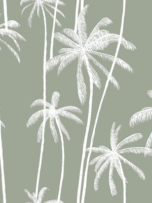 Papel Mural Palms Pattern Fondo