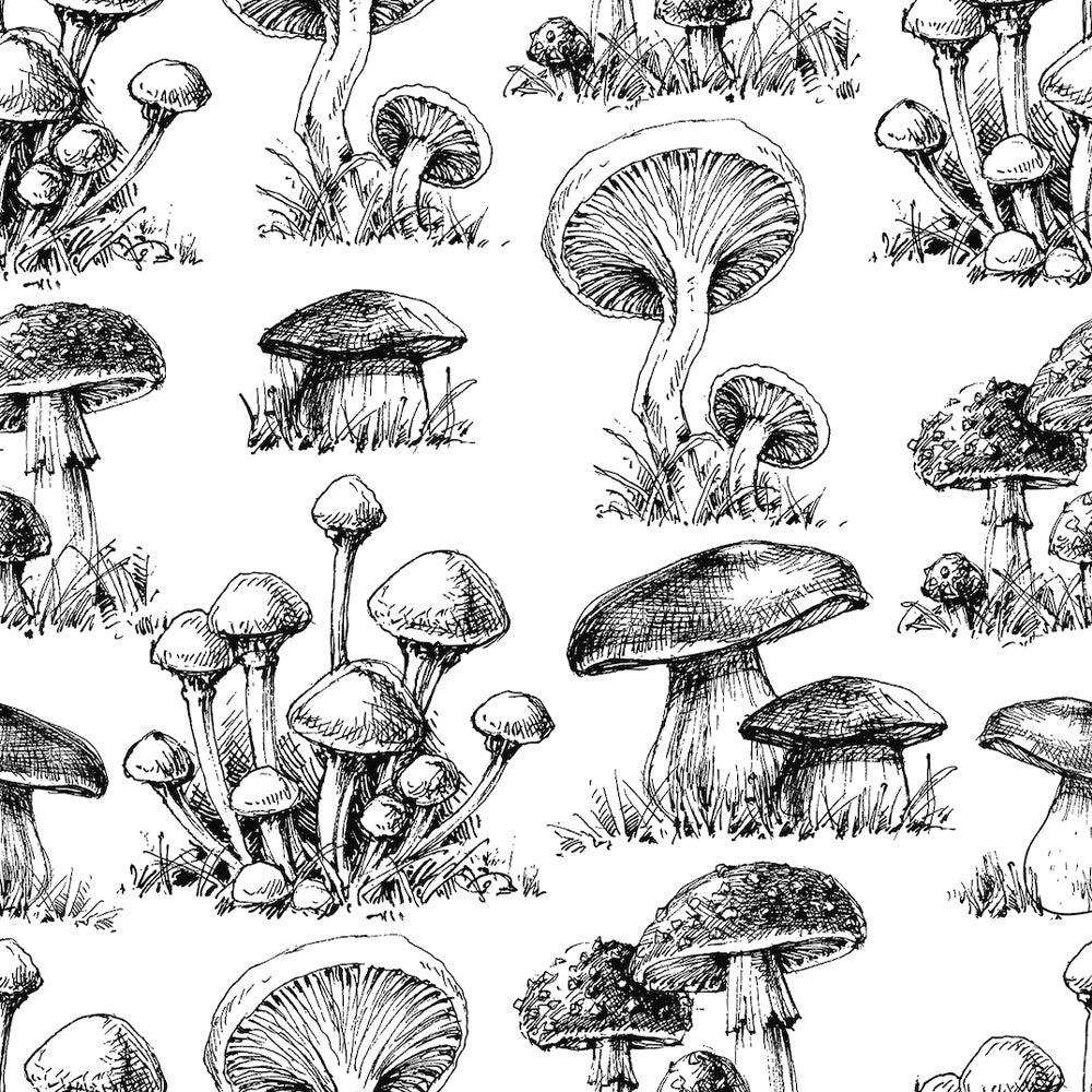 Papel Mural Mushrooms Pattern