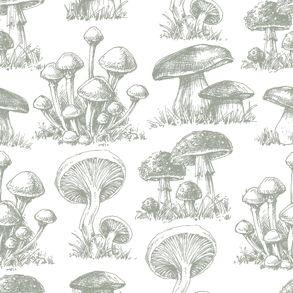 Papel Mural Mushrooms Pattern