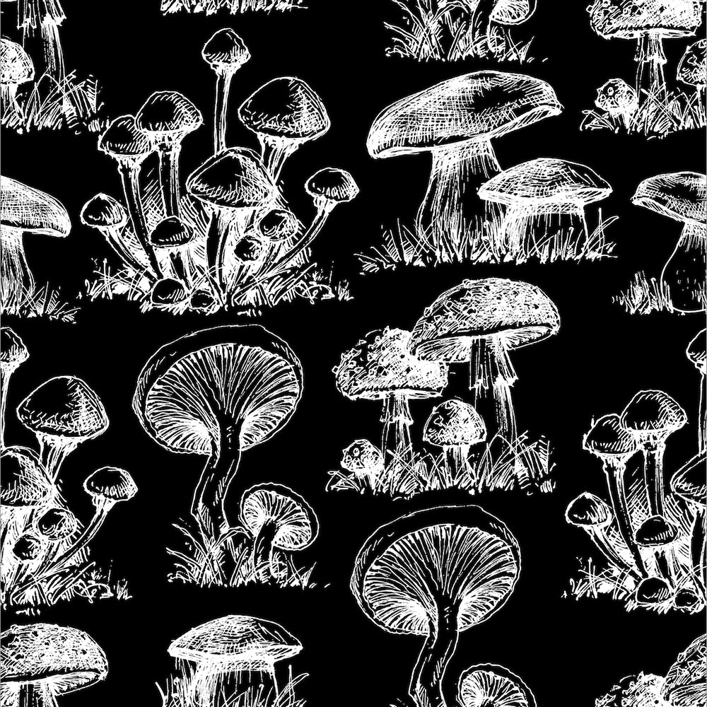 Papel Mural Mushroom Pattern Fondo