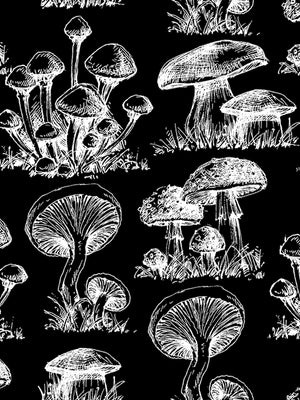 Papel Mural Mushroom Pattern Fondo