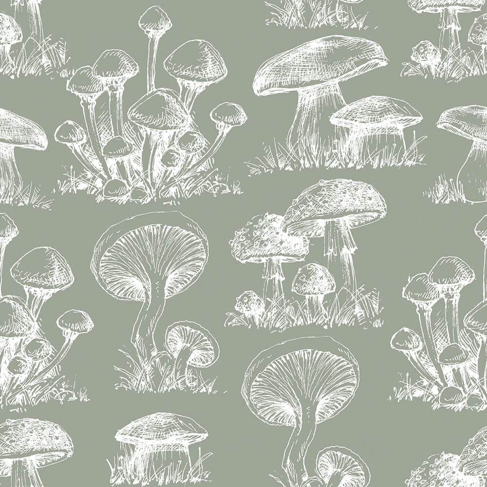 Papel Mural Mushroom Pattern Fondo