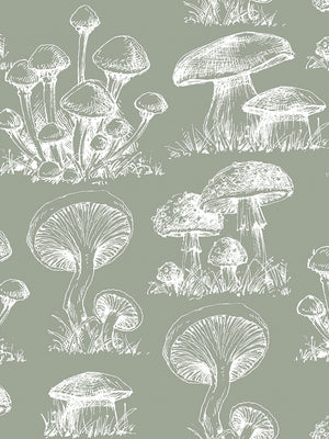 Papel Mural Mushroom Pattern Fondo