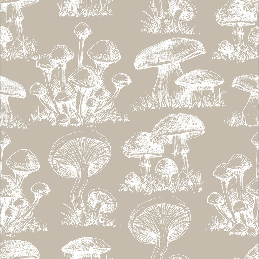 Papel Mural Mushroom Pattern Fondo