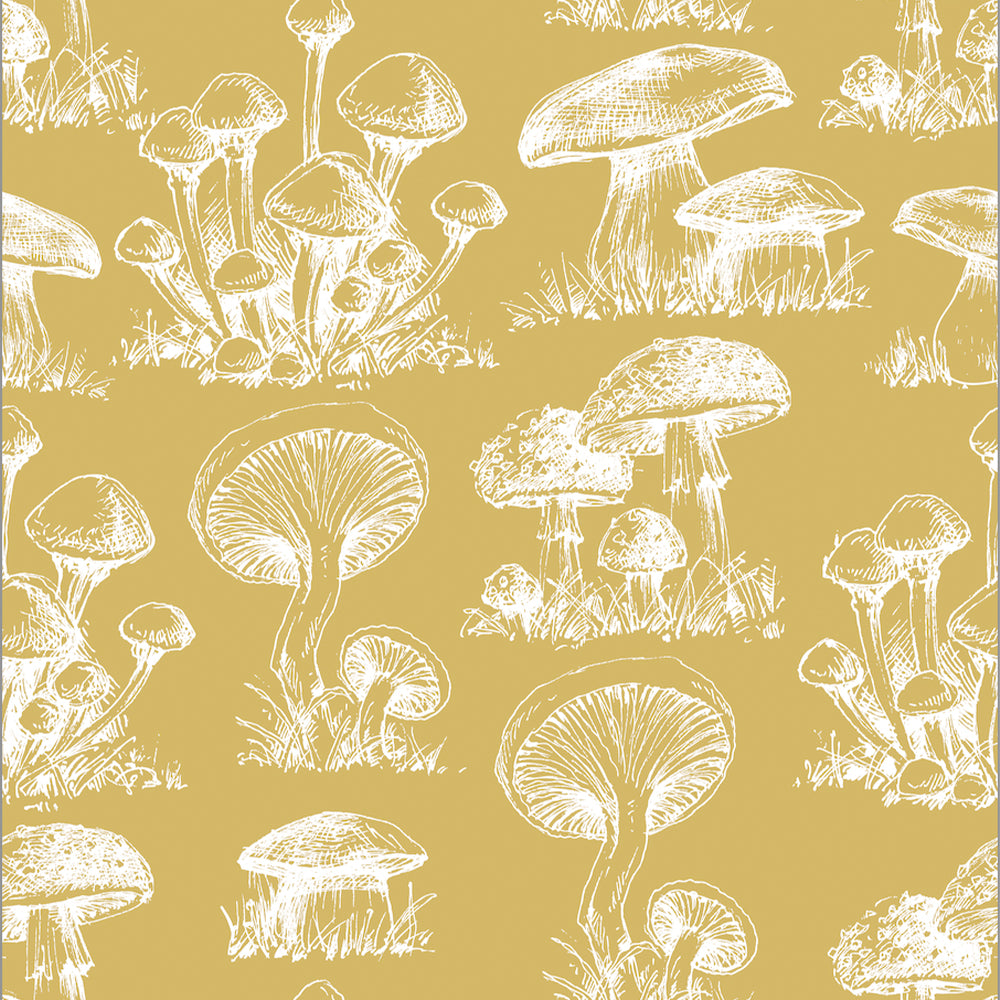 Papel Mural Mushroom Pattern Fondo