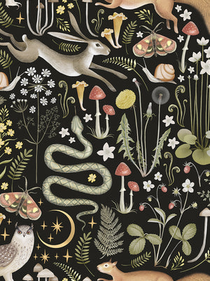 Papel Mural Fairy Tale Black