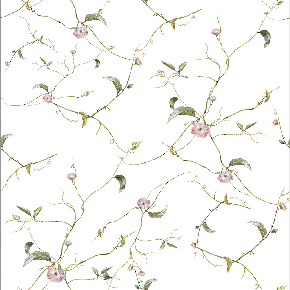 Papel Mural Hanging Plants