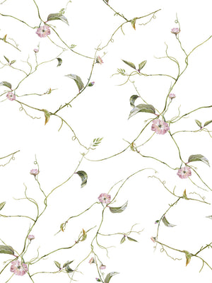 Papel Mural Hanging Plants