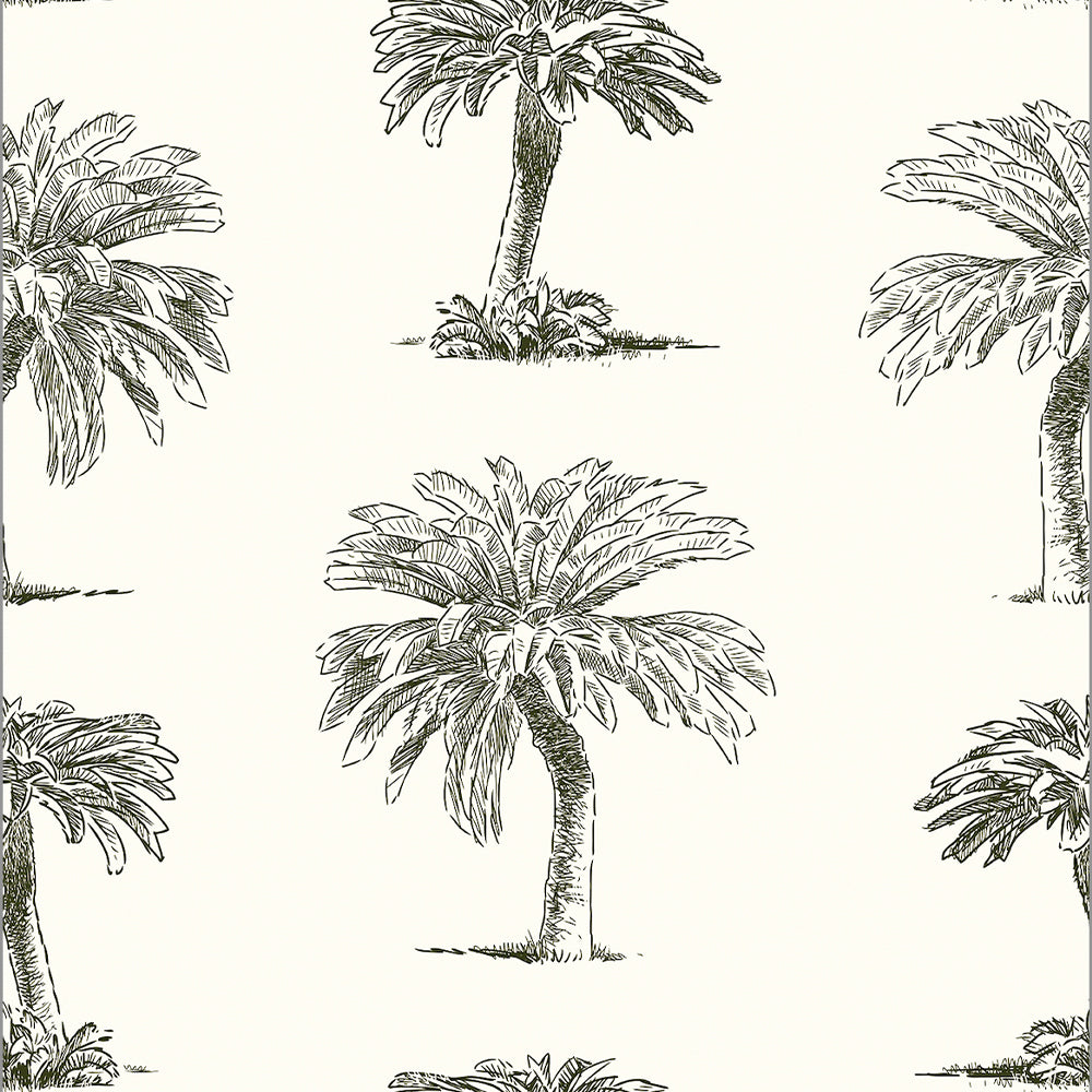 Papel Mural Palm Tree