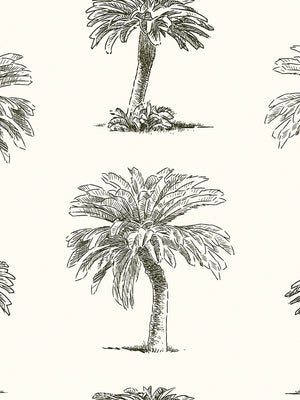 Papel Mural Palm Tree