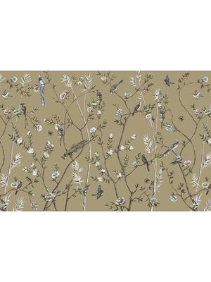 Papel Mural Birds of Paradise