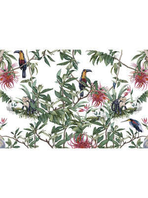 Papel Mural Costa Rica