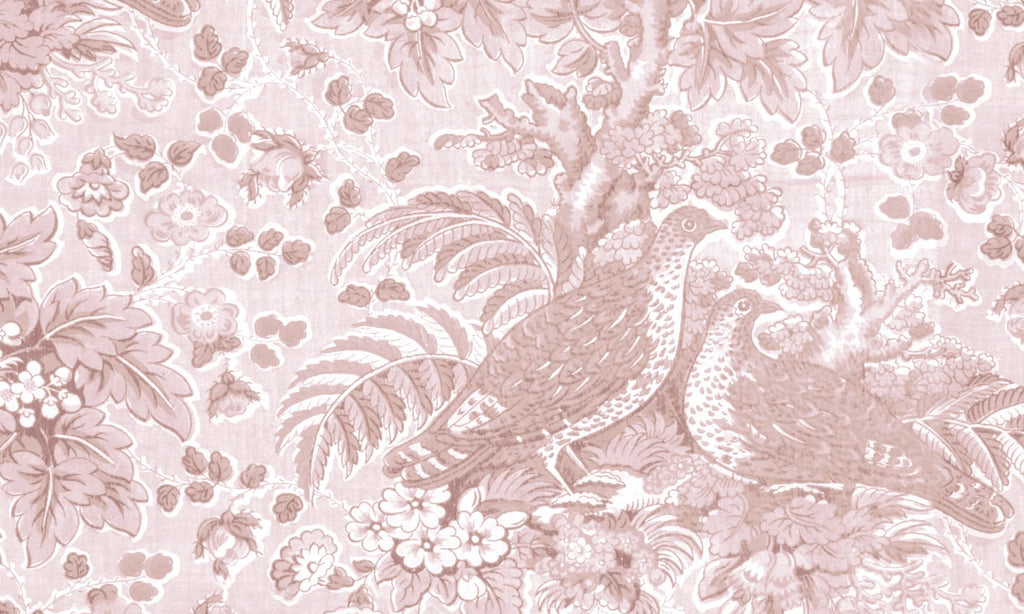 Papel Mural Codornices