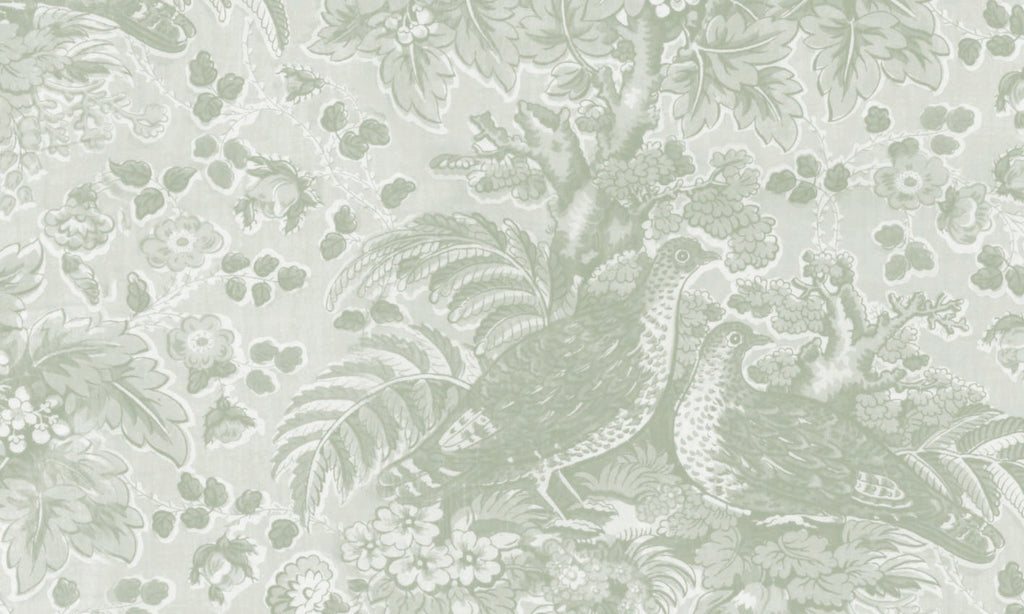 Papel Mural Codornices