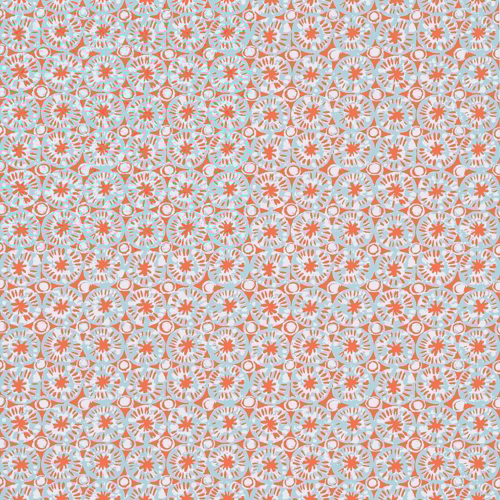 Papel Mural Sand Dollar