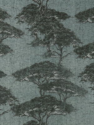 Papel Mural Torrey Pines