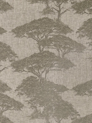 Papel Mural Torrey Pines