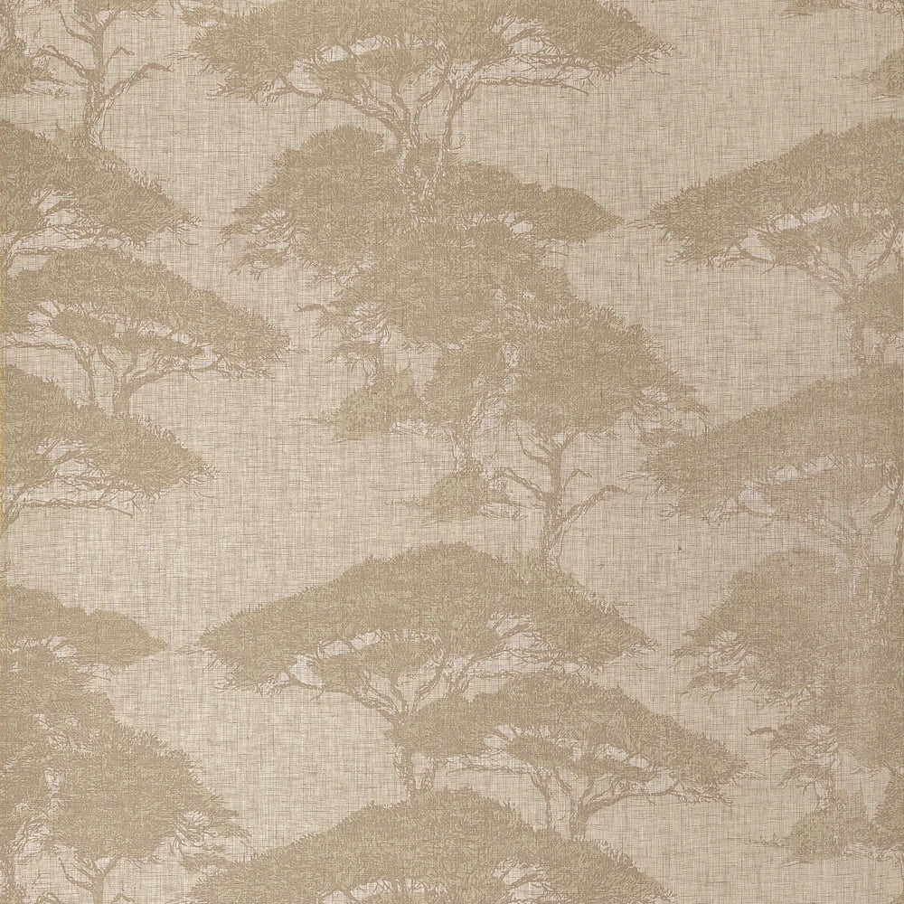 Papel Mural Torrey Pines