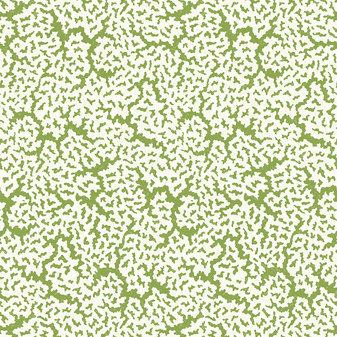 Papel Mural Maldives